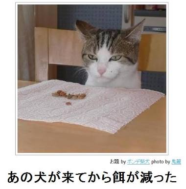 動物のボケて貼って下さい