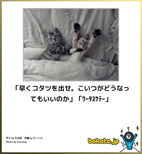 動物のボケて貼って下さい