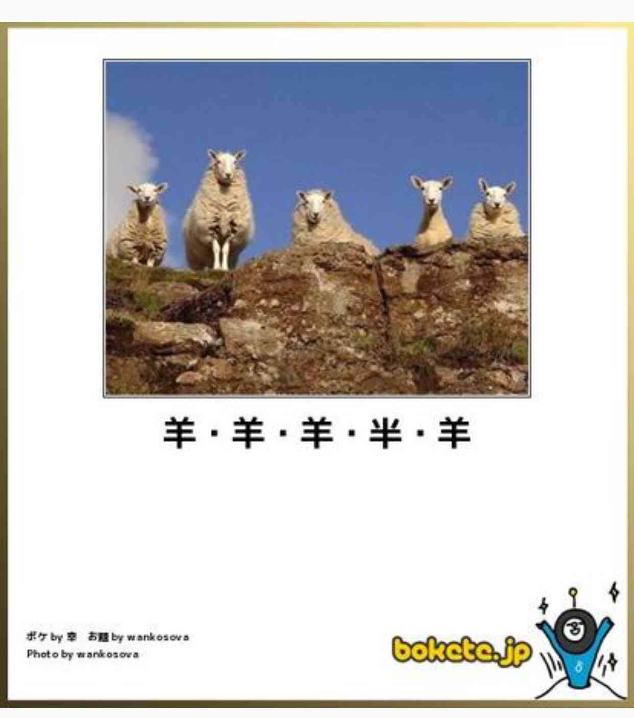動物のボケて貼って下さい