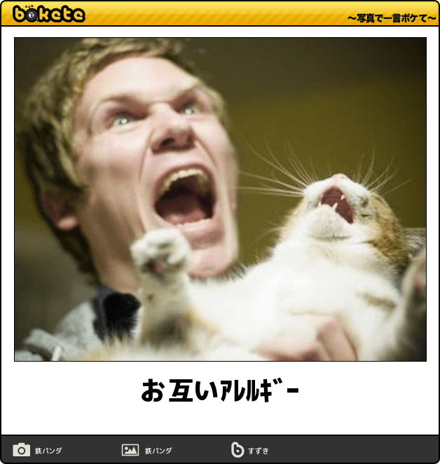 動物のボケて貼って下さい