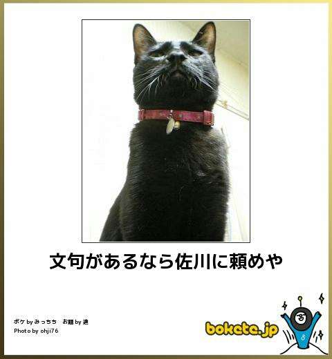 動物のボケて貼って下さい