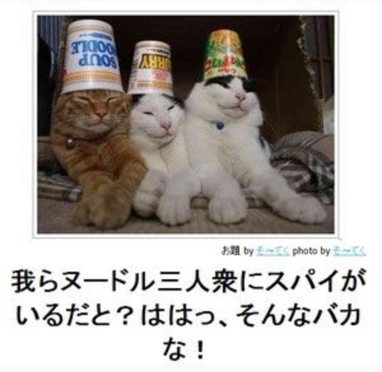 動物のボケて貼って下さい