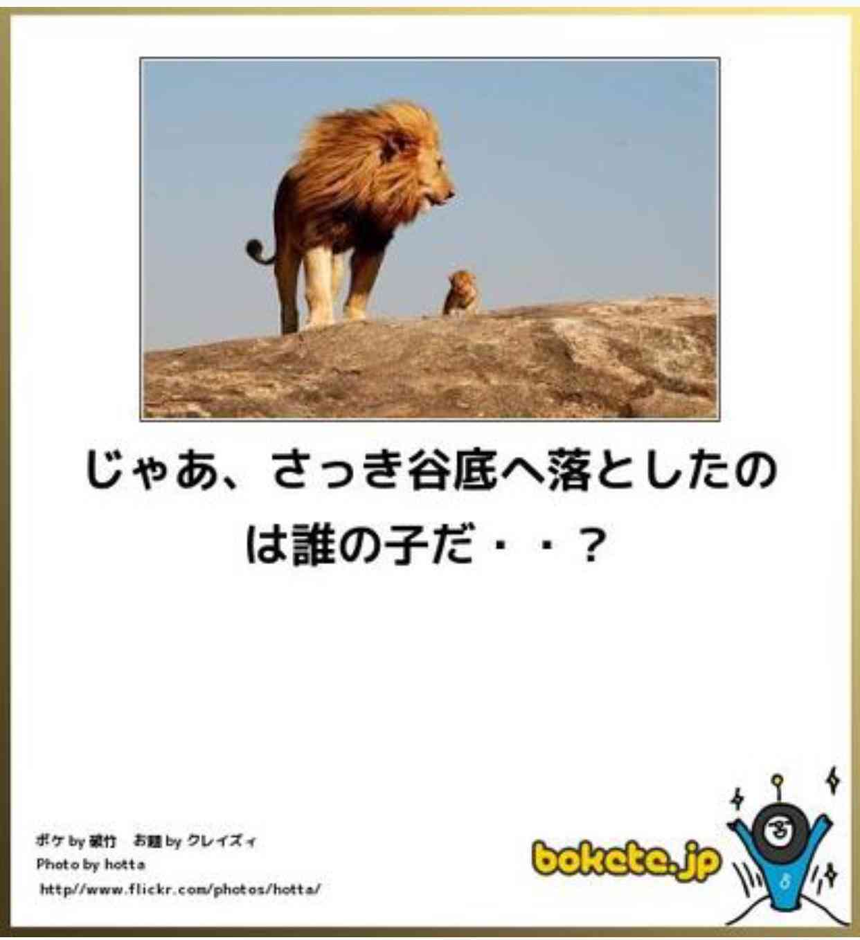 動物のボケて貼って下さい