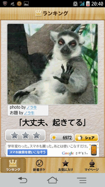 動物のボケて貼って下さい