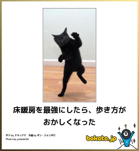 動物のボケて貼って下さい