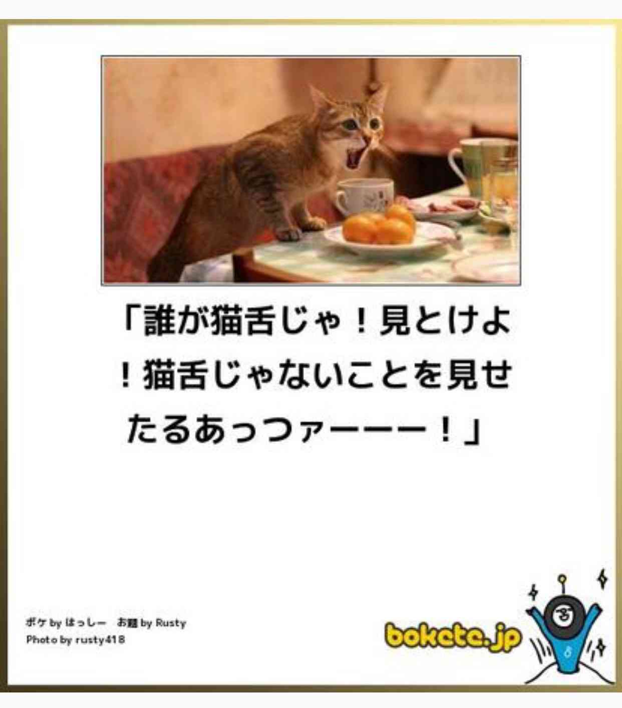 動物のボケて貼って下さい