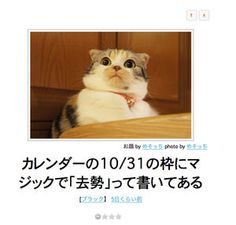 動物のボケて貼って下さい