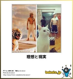 動物のボケて貼って下さい