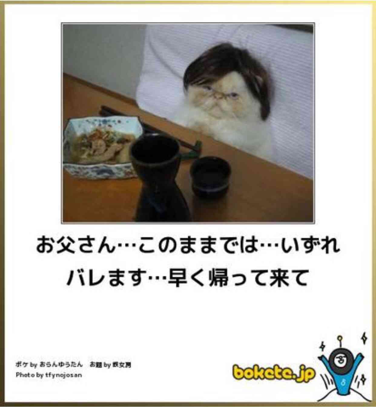 動物のボケて貼って下さい