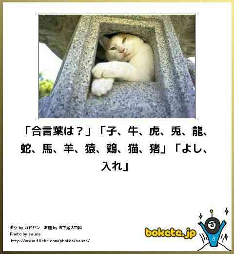 動物のボケて貼って下さい