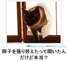 動物のボケて貼って下さい