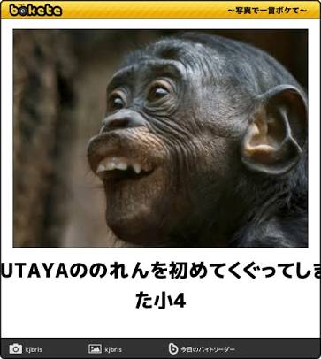 動物のボケて貼って下さい