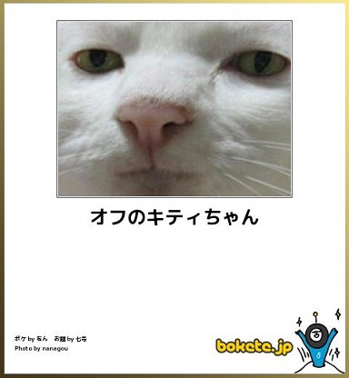 動物のボケて貼って下さい