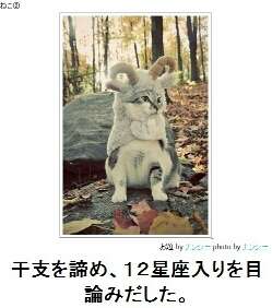 動物のボケて貼って下さい