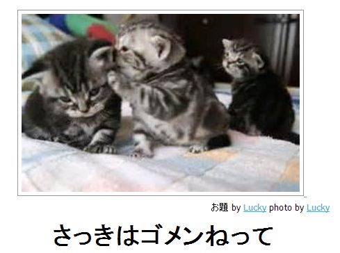 動物のボケて貼って下さい
