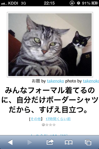 動物のボケて貼って下さい