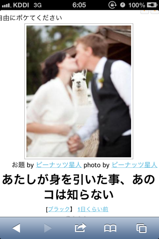 動物のボケて貼って下さい