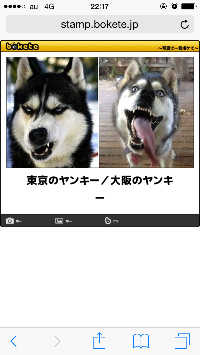 動物のボケて貼って下さい