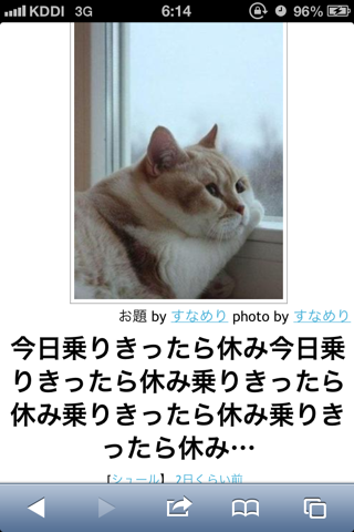 動物のボケて貼って下さい