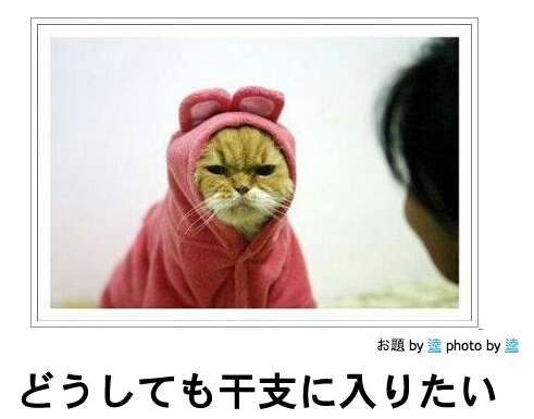 動物のボケて貼って下さい