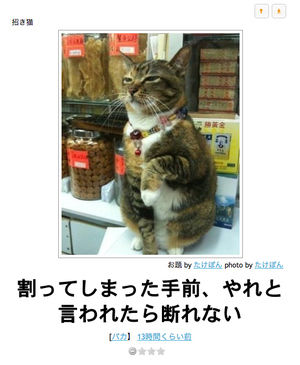 動物のボケて貼って下さい
