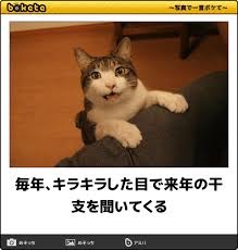 動物のボケて貼って下さい