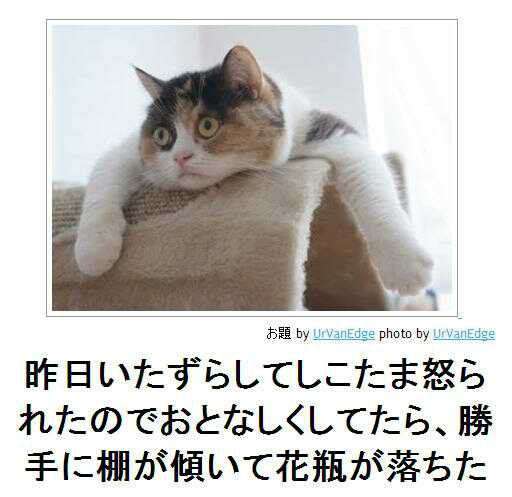 動物のボケて貼って下さい