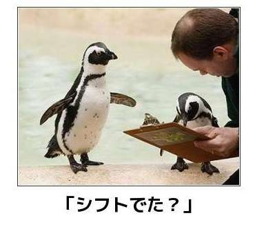 動物のボケて貼って下さい