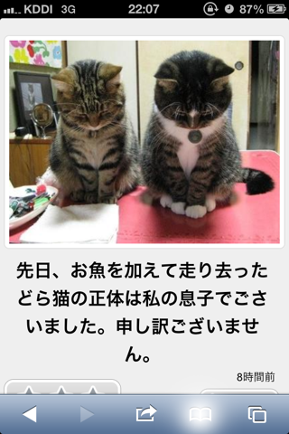動物のボケて貼って下さい