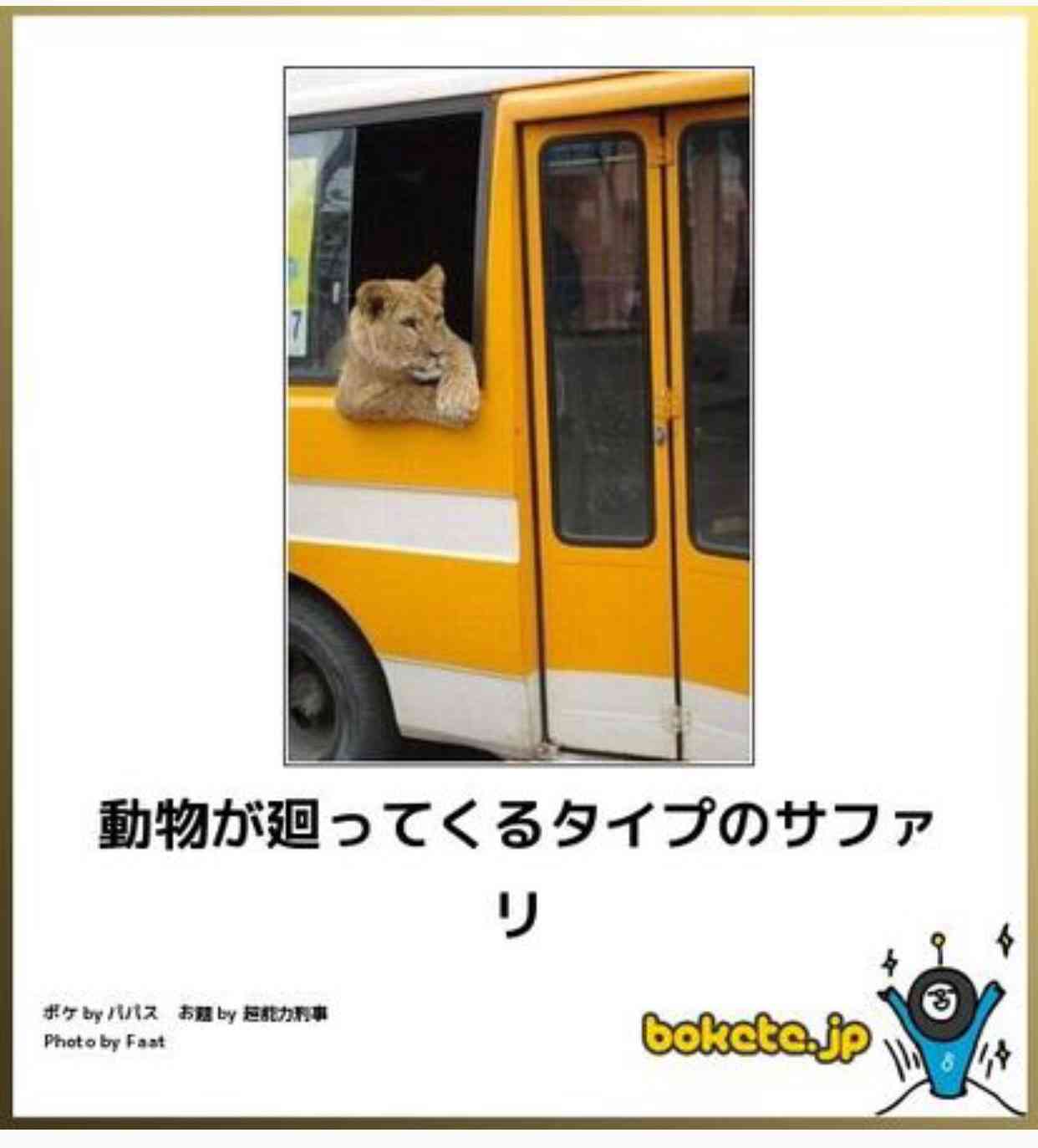 動物のボケて貼って下さい
