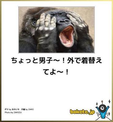 動物のボケて貼って下さい