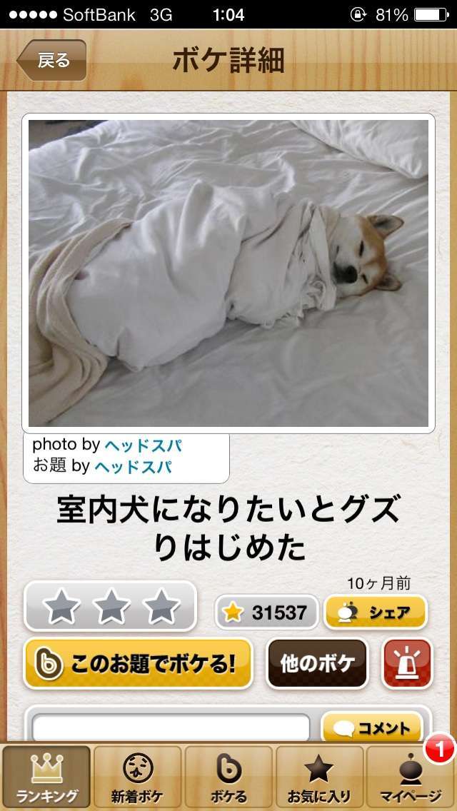 動物のボケて貼って下さい