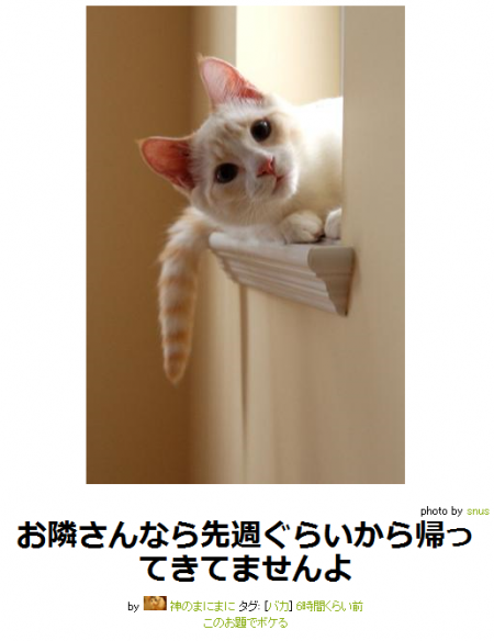 動物のボケて貼って下さい