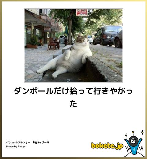 動物のボケて貼って下さい