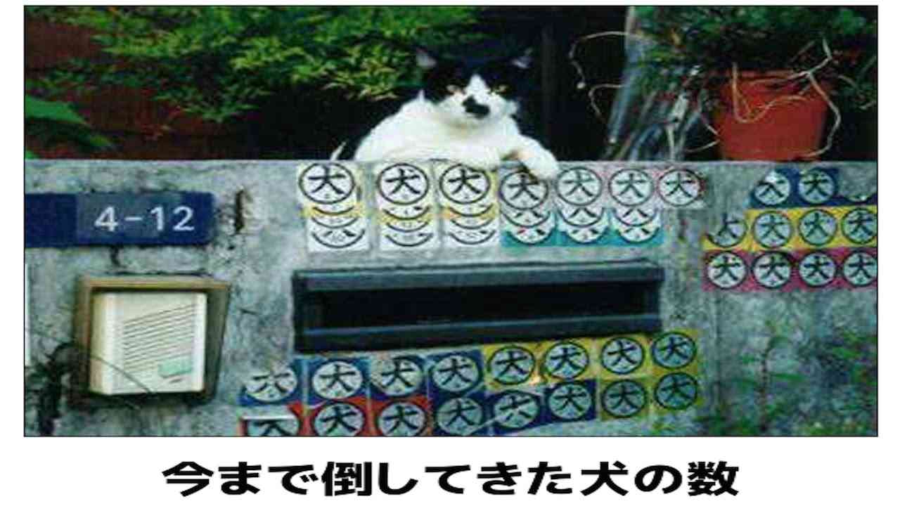 動物のボケて貼って下さい