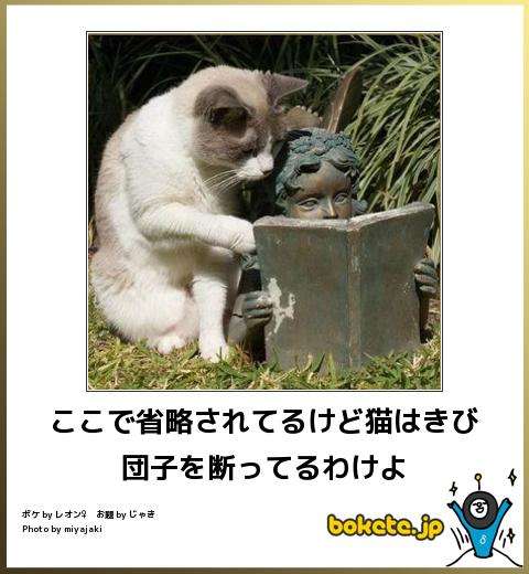 動物のボケて貼って下さい