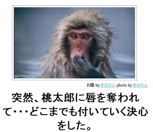 動物のボケて貼って下さい