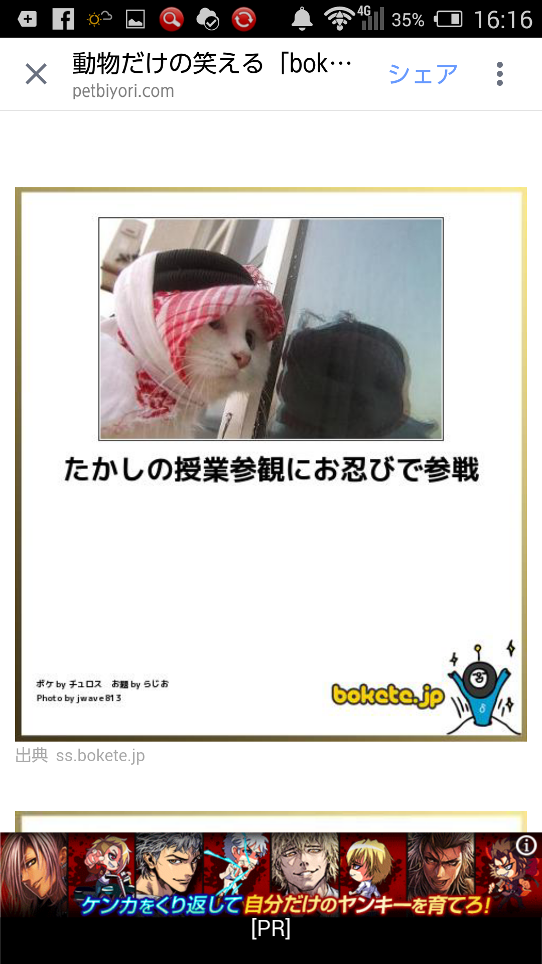 動物のボケて貼って下さい