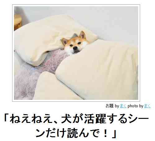 動物のボケて貼って下さい