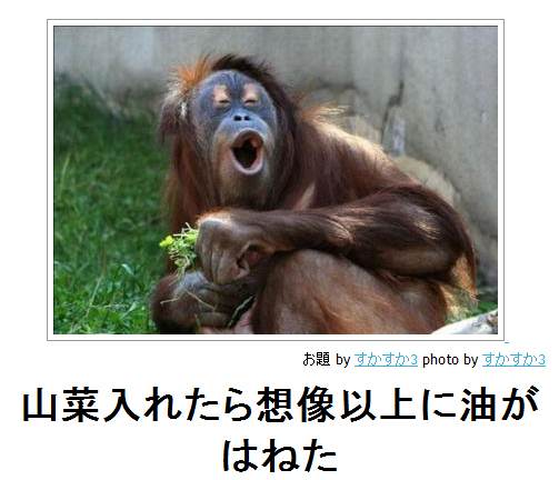 動物のボケて貼って下さい