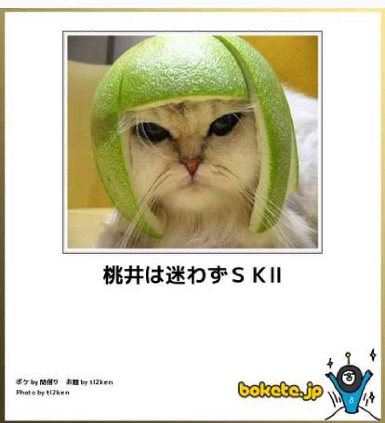 動物のボケて貼って下さい