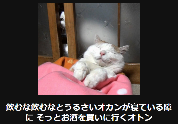 動物のボケて貼って下さい