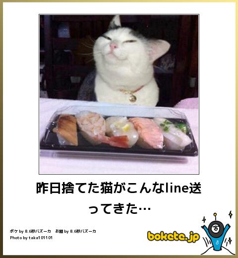 動物のボケて貼って下さい