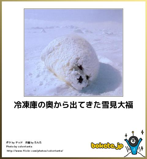 動物のボケて貼って下さい