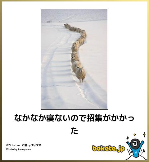 動物のボケて貼って下さい