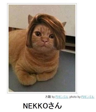 動物のボケて貼って下さい