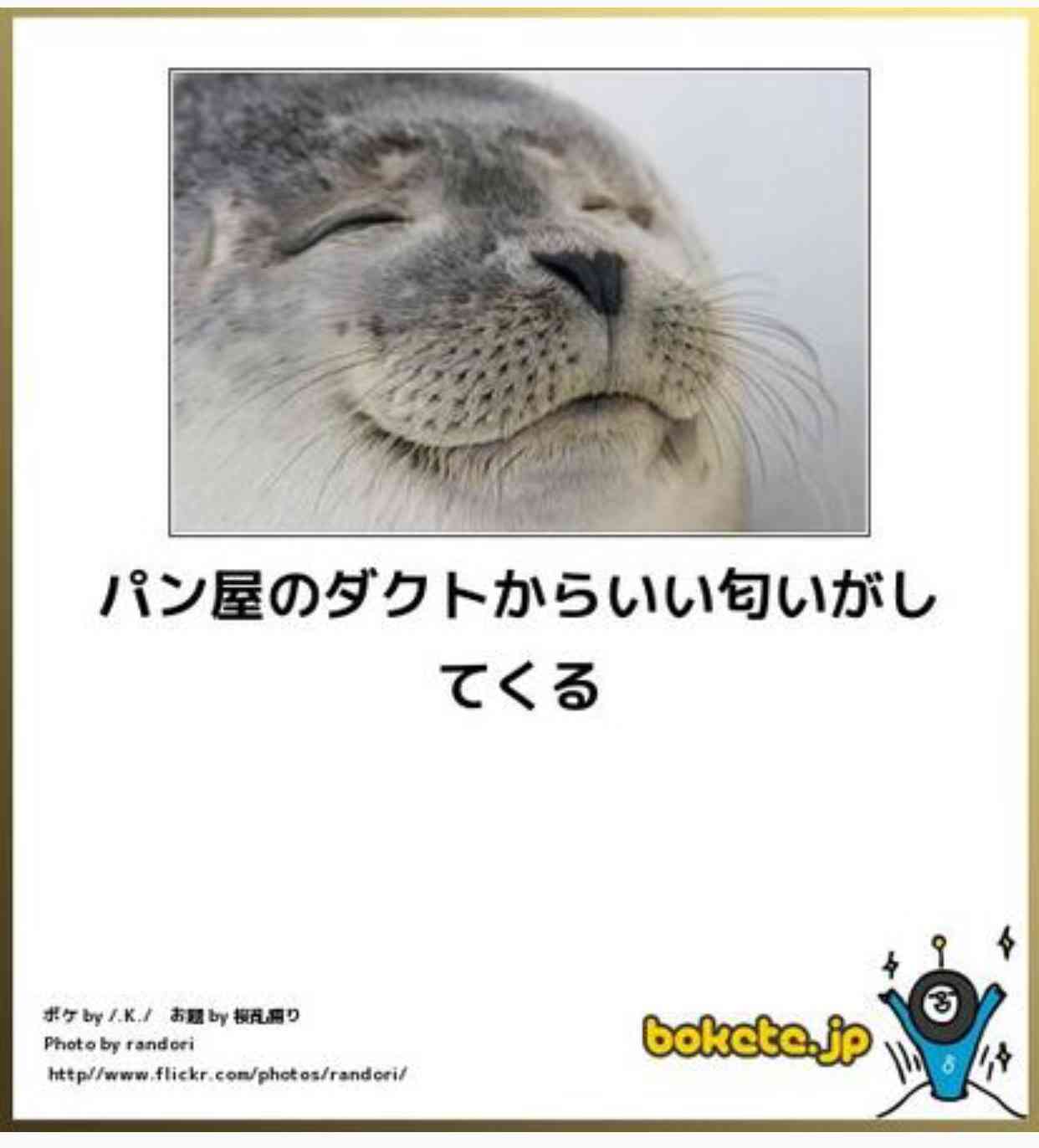 動物のボケて貼って下さい