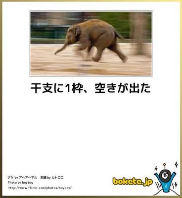 動物のボケて貼って下さい