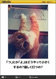動物のボケて貼って下さい