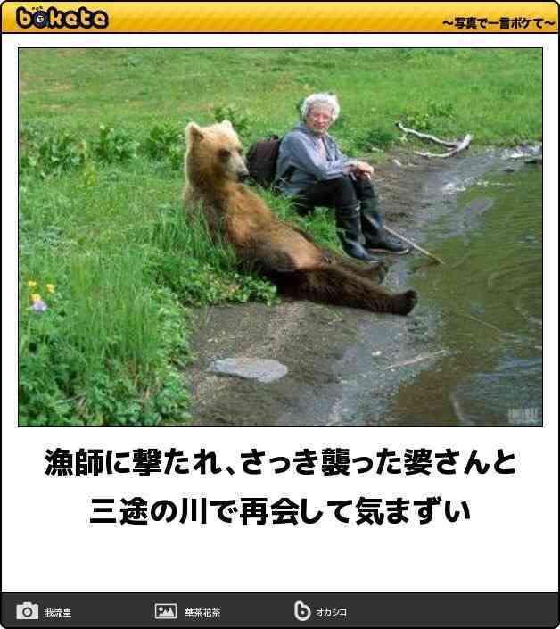 動物のボケて貼って下さい
